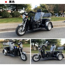 성인자전거 세발 어른 삼륜 3발 완전 밀폐형 오토바이 연료, 2.Black