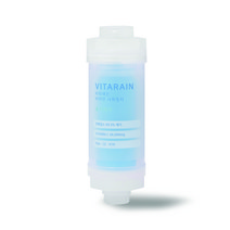 비타레인 비타민 샤워 필터 퍼퓸 홀리데이, 1개
