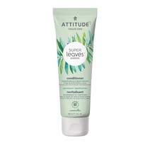 Attitude Super Leaves Conditioner Grapeseed Oil&Olive Leaves 애티튜드 슈퍼 리브스 컨디셔너 포도씨유&올리브 리브스 240ml 2팩
