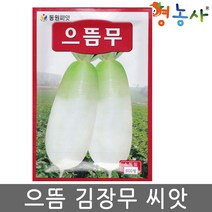 영농사 으뜸무 600립 무우 무 씨앗 고랭지 김장무 종자, 1개