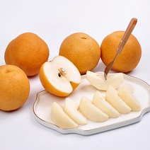 푸르젠 [나주직송] 가정용 나주 신고배 3kg (4~6과), 단품없음