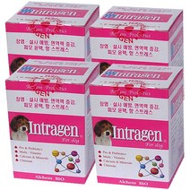 인트라젠 플러스 장영양제 200정 4개세트