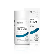 지쿱 제너럴 밸런스 식물성 MSM 500mg 120정, 1개, 기본
