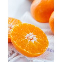 [코코리팜]새콤달콤 제주 노지감귤 5Kg 10Kg, 혼합10Kg