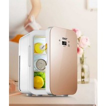 SAST 미니 냉장고 가정용 작업실 화장품 보관, R