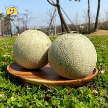 [쥬시맨] 산뜻! 피크닉 필수 꿀당도 나주 세론이 세지멜론 1.25kg 1.66kg 단위, 세론이 세지멜론 파란 박스 상 (4과 5kg)