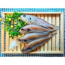 국내산 반건조 백조기 (대) 10마리