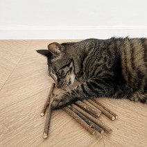 뚜또가또 고양이 마따따비 스틱 10개입, 상세페이지 참조