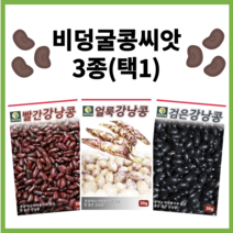 주주씨앗 비덩굴 강낭콩 씨앗 3종 / 얼룩 강낭콩 검정 강낭콩 빨강 강낭콩 / 왜성종 얼룩이 콩 종자 씨 검은색 검은 비넝쿨 키작은, 비덩굴강낭콩3종세트, 1개