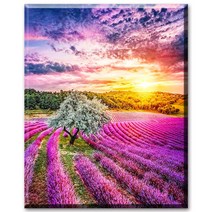 SHEXIU 3D 원형 보석십자수 키트 일체형 캔버스 액자 50 x 40 cm, AE119  햇살 아래 라벤더x1세트