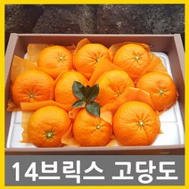 귤내음농장 고당도레드향 (선물용) (가정용) 2kg 3kg 5kg 다양하게 즐기세요 고당도레드향은역시 귤내음, 1개, 2.(선물용)레드향프리미엄과 3kg(13수내)