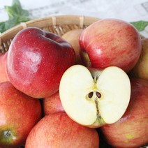 친환경팔도 [산지직송] 정선 고랭지 사과 상특혼합 5kg/10kg, 5kg