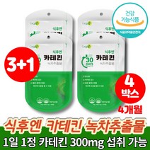 카테킨 300 정 알약 환 그린 녹차 추출물 분말 슬림 30대 40대 50대 60대 남자 여자 다이어트, 4박스