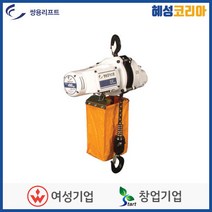 쌍용리프트 단상 호이스트 DU-900A, 1개