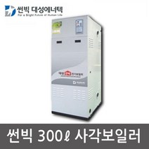 대성에너텍 썬빅 산업용 단상 축열식 전기보일러 DBE-10 200L