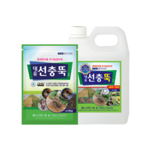 선충뚝 2L