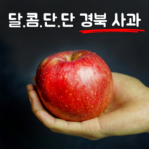 [주황주황] 경북 안동 거창 꿀사과 햇 부사 사과 가정용 중소과 10kg, 10kg (중소과 / 41-54과)