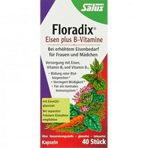 Floradix 철 플러스 b 비타민 캡슐 40팩