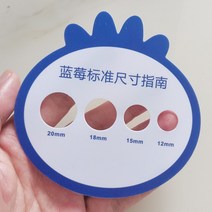 블루베리 선별기 직경 측정 게이지 과일 공급 도구 농장 측정기 블루베리 표준 측정 눈금자 과일 직경 카드 신선한 과일 등급 체리 체리 크기 플라스틱 등급 도구 눈금자, 스팟 블루베리 자