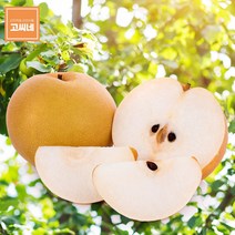 고씨네 프리미엄 배15kg 배주스 황금배 배즙 배가격, 본상품