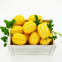 직거래농민장터 햇 참외 고당도 성주참외 5kg 3kg, 가정용 참외 4.5kg 중과(로얄과)