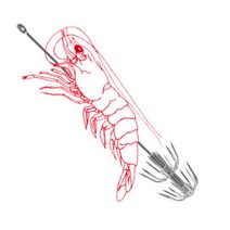 쭈꾸미 갑오징어 생새우 생미끼 바늘 생미끼에깅 12cm