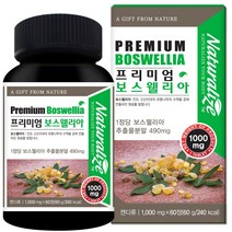 인도산 보스웰리아 1000mg 60정 2개월분 보스웰릭산 보스월리아 보수엘리아 추출 분말 가루 BOSWELLIA 부모님 명절 선물 보스웰리아, 1병