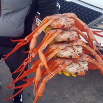 구룡포 연지 홍게 박달 홍게 1.2kg~5kg 포항 연지홍게 포항 박달홍게 자숙홍게 포항 홍게 구룡포 홍게 찜 라면용 홍게 택배, A급 500g 3미