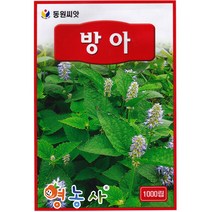 방아 씨앗 1000립, 1개