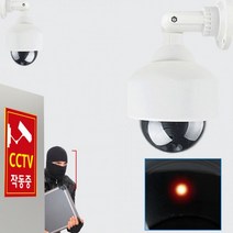 정확도 고급 안전방범 외부형 CCTV 모형 감시카메라 도난방지, 색상랜덤-외부형cctv-F타입-AA건전지2개포함