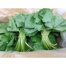 양구 곰취나물 곰취 1kg 곤달비 [당일수확], 2kg