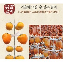 과일 자연건조 곶감 말리는 행어 2개 채소건조 식품건조기, 4개용곶감걸이x25백색