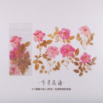 蔷薇海洋 干花绿植超大号PET贴纸 手帐日记diy装饰素材 防水贴画 빈티지다꾸랜덤박스 탑꾸 다꾸세트 소량제작 손글씨, 치히로의 꽃말