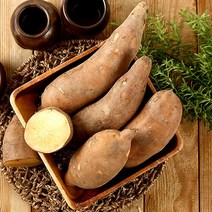 22년 국내산 달콤숙성 햇 야콘, 1.야콘5kg(상품)