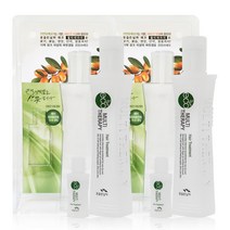 꽃을든남자 멀티테라피 헤어 트리트먼트 2개, 160ml