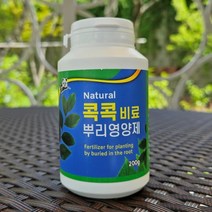 콕콕 200g 식물 뿌리 삽목 접목 루팅파우더 촉진제 장미 제라늄 루톤 영양제 발근제, 1개