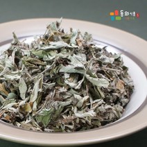동의식품 국내산 쑥 애엽 약쑥 300g, 단품