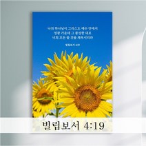 성경 말씀 액자 노프레임 - JS14종 - 한국어 기독교 교회 성구 심방 액자, [13] 해바라기2 엣지 61cmx41cm