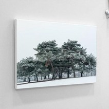 바보사랑 캔버스액자33.4x24.2 겨울소나무.꾸밈