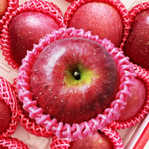 햇 부사사과 2kg 3kg 5kg 10kg 프리미엄 선물용 정품, 꼬마과(25~28)