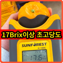 수라향 신비향 설국향 제주직송 17브릭스 초고당도 신품종 가정용10kg, 10kg, 1개