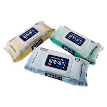 힐링데이 대형 물티슈 평지 캡형, 60매, 16팩