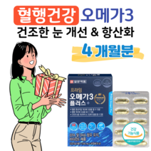 노르웨이 정제어유 일양약품 오메가3 오매가 쓰리 하루 1캡슐 오메가 스리 플러스 혈행 개선 도움 건조한 눈 개선 눈촉촉 눈건강 도움 비타민E 달맞이꽃 종자유 솔잎 증류 농축액, 4개월분, 1100mg x 60캡슐 (하루 1캡슐)