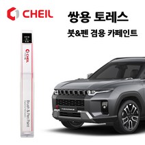 쌍용 토레스 카페인트 자동차 붓펜 WAA ADA ADE GAO RAV BAS LAK, RAV>체리레드” class=”wr-img”></a></div></div></div></div><div class=