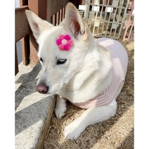 강아지머리핀 빗살핀 폼폼이핀 꽃핀 헤어핀 핸드메이드핀, 찐핑크