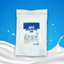 WPI 분리유청단백질 분말 500g HACCP 인증제품, 1팩