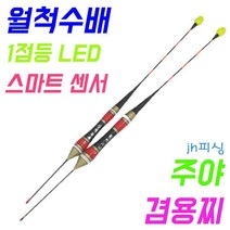 (jh)피싱 월척수배 1점등 led 센서, 1호