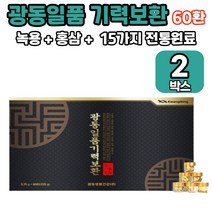 광동 일품 기력보환 녹용 홍삼 전통원료 기력보환 60환 감사선물, 2개
