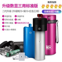 인슐린 보냉 가방 보냉팩 보관함 보관 보냉백 케이스 의약품 약냉장고, E 표준 버전 업그레이드(빨간색)-사진참조