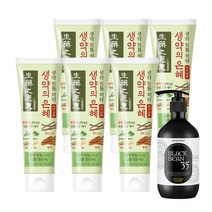 시스테마 생약의 은혜 마일드 치약 90g x 6개 + 앤써웨이 블랙빈35 트리트먼트 500ml 용기 x 1개